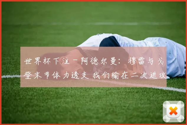 世界杯下注 - 阿德尔曼：穆雷与戈登末节体力透支 我们输在二次进攻